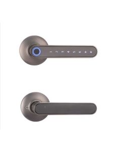 Fingerprint Electric Smart Door Lock with Biometric Keyless Entry Door Handle